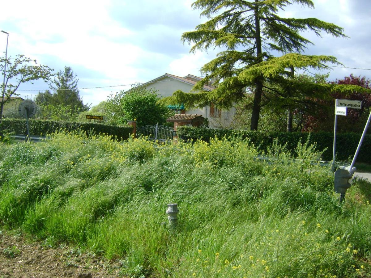 B&B La Mimosa Spello Exterior photo