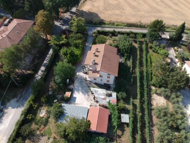 B&B La Mimosa Spello Exterior photo