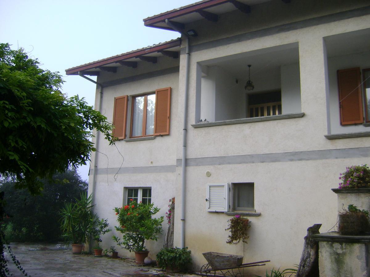 B&B La Mimosa Spello Exterior photo