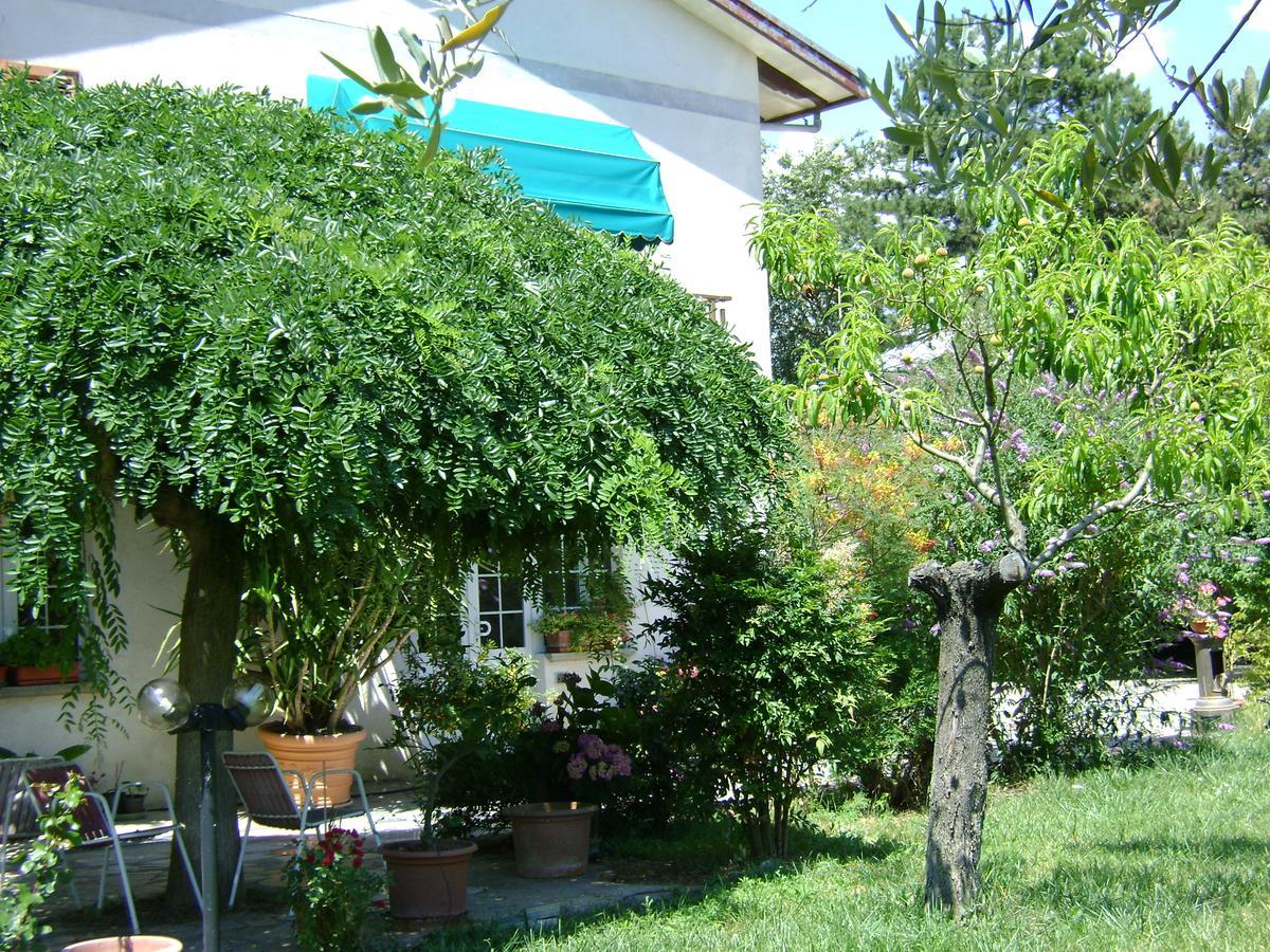 B&B La Mimosa Spello Exterior photo